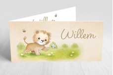 Leeuwtje speelt met vlinder Leeuwtje speelt met vlinder
